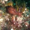 DSCF1647