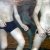 JPEG_2005