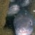 JPEG_2006