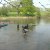 JPEG_2007