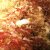 JPEG_2008