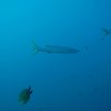 IMG_3330